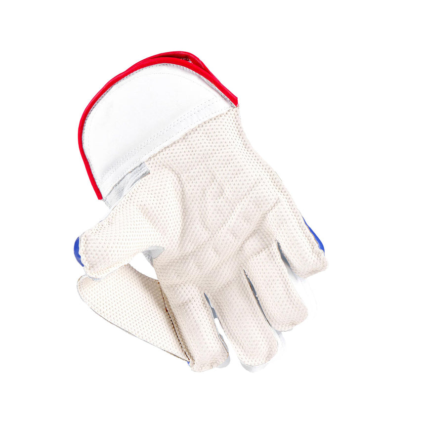 Gray-Nicolls Classic Academy Wicket keeping Gloves