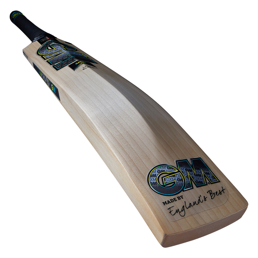 Gunn & Moore Aion DXM 808 Cricket Bat