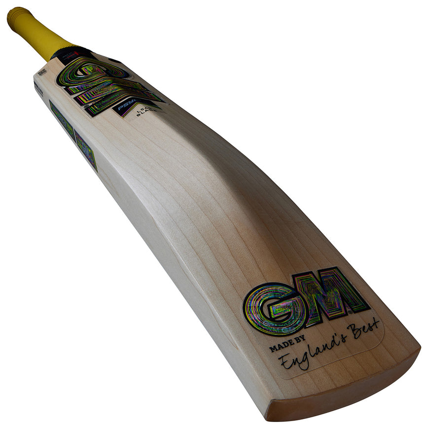 Gunn & Moore Psyche DXM 404 Junior Cricket Bat