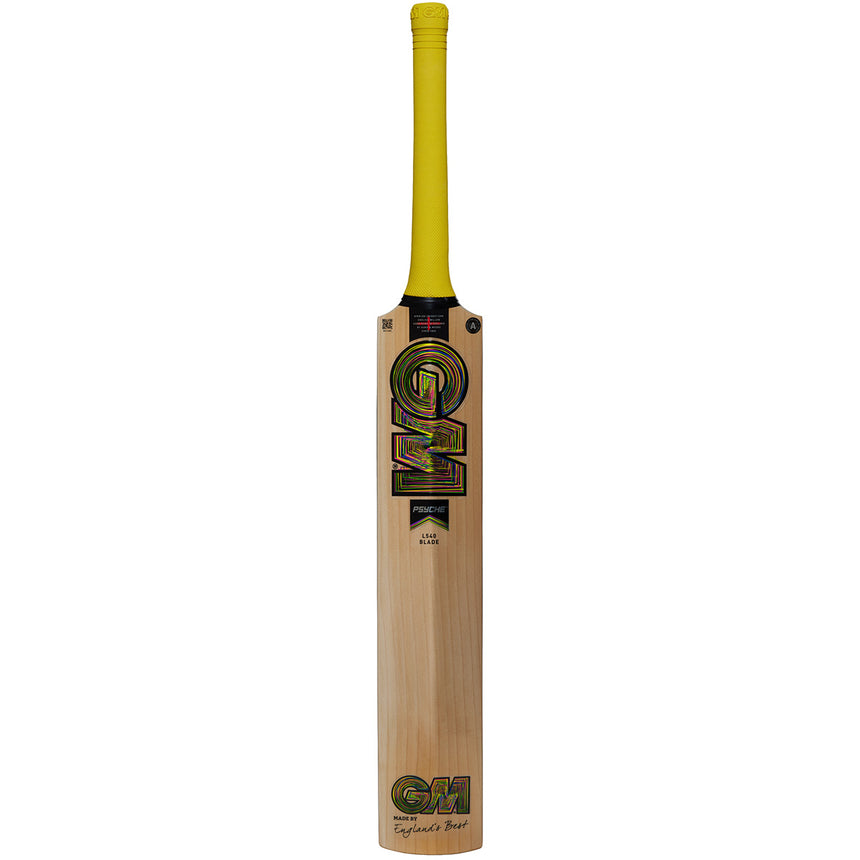 Gunn & Moore Psyche DXM 404 Junior Cricket Bat